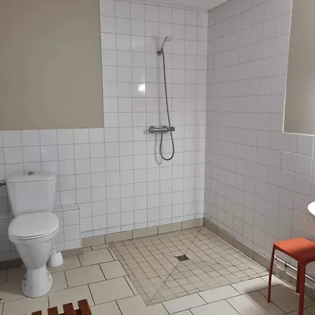 מלון De La Foret *