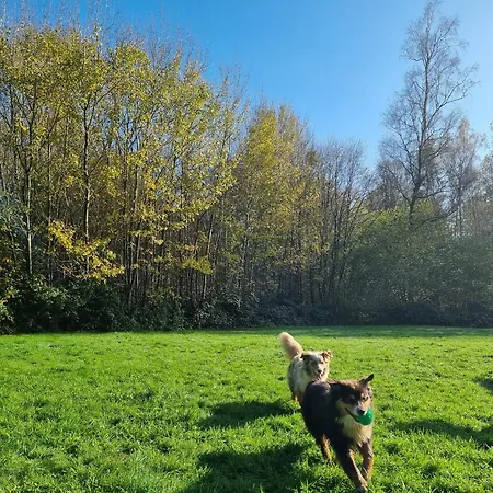 De La Foret מלון Le Nouvion-en-Thierache